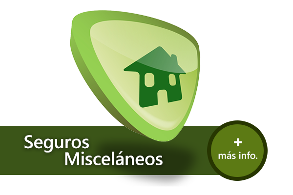 Seguros Misceláneos